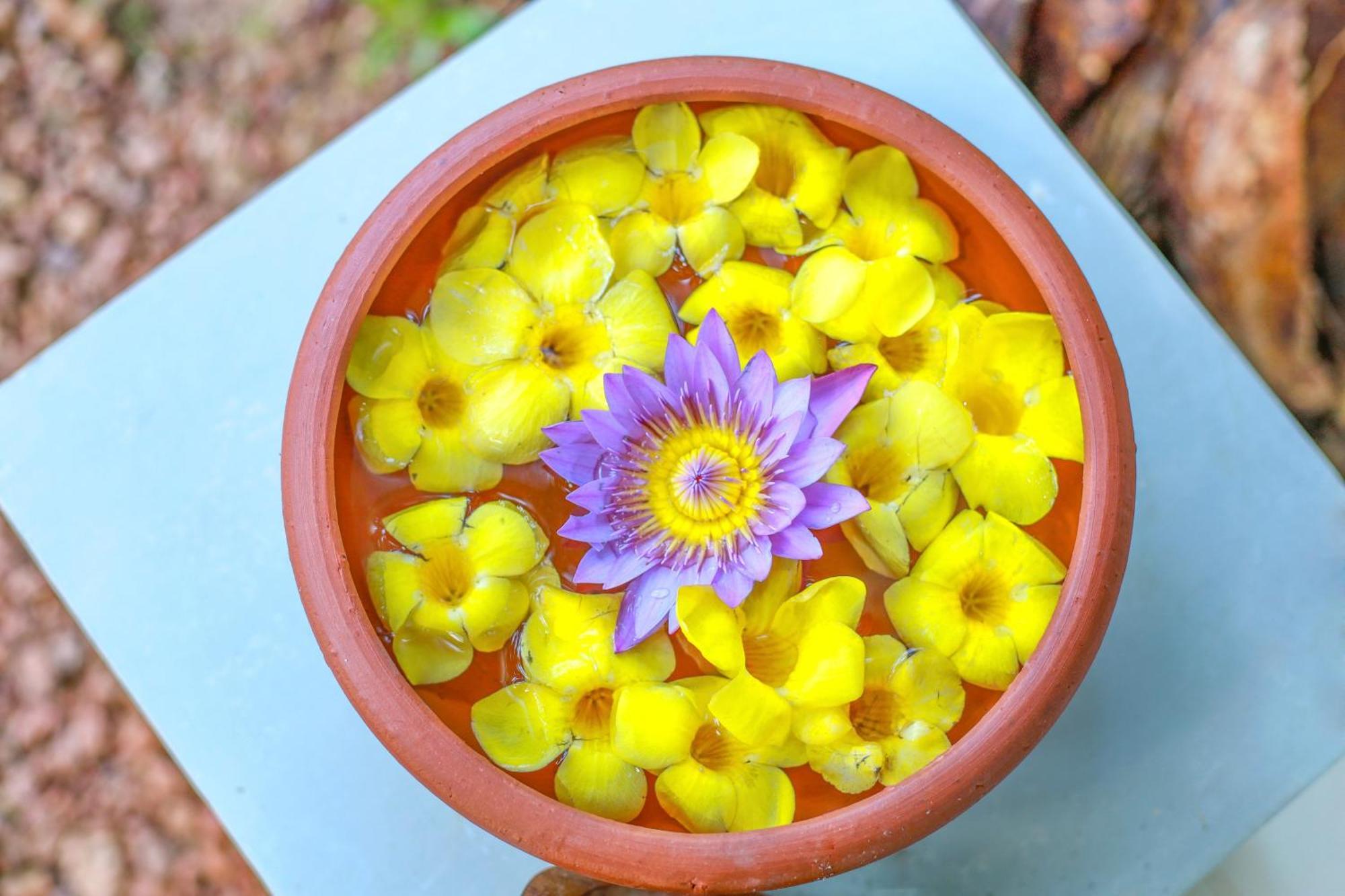 Rockery Villa Ayurveda Bentota Zewnętrze zdjęcie