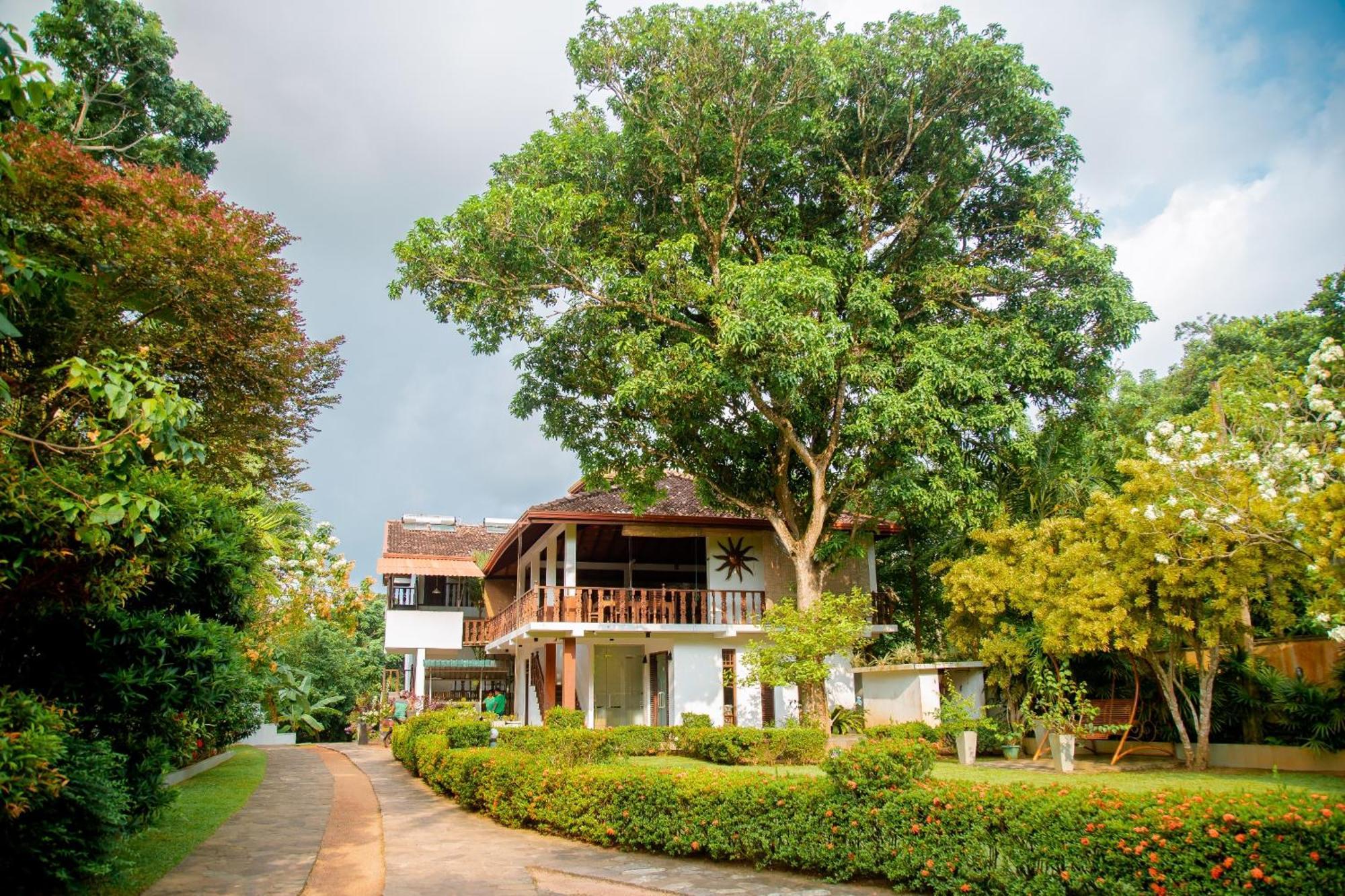 Rockery Villa Ayurveda Bentota Zewnętrze zdjęcie