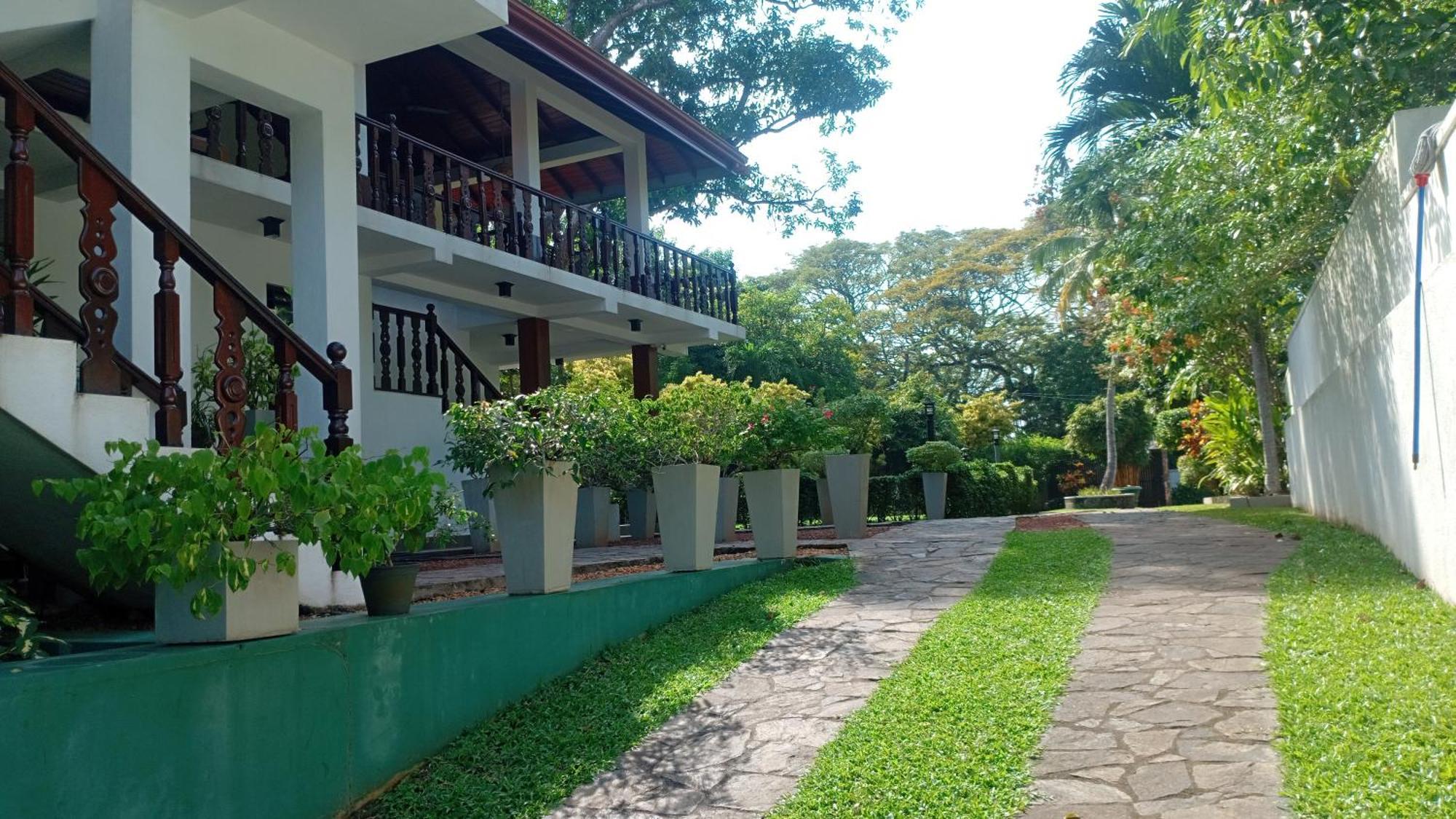 Rockery Villa Ayurveda Bentota Zewnętrze zdjęcie