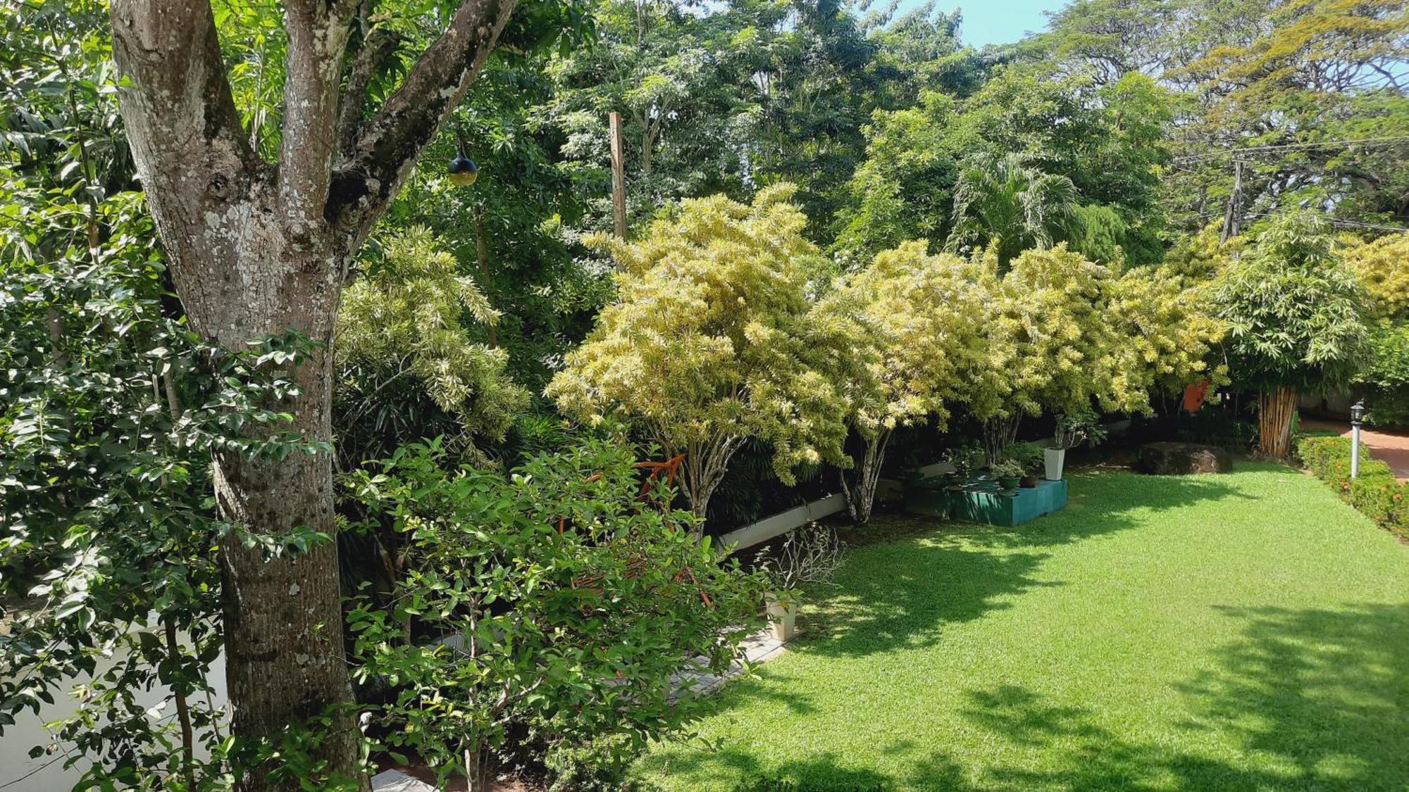 Rockery Villa Ayurveda Bentota Zewnętrze zdjęcie