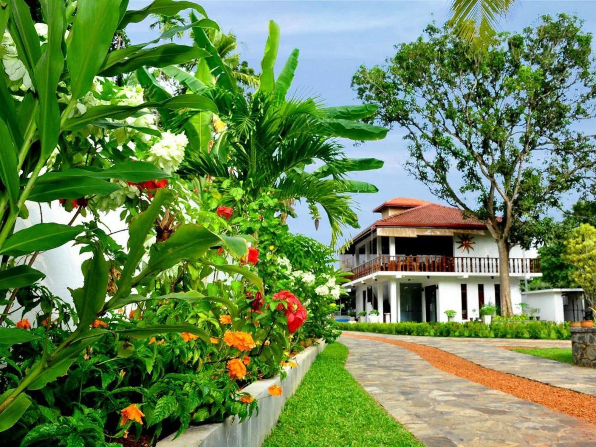 Rockery Villa Ayurveda Bentota Zewnętrze zdjęcie